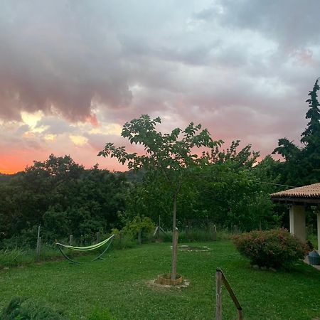 Agriturismo Il Covo Del Solengo Valtopina Kültér fotó