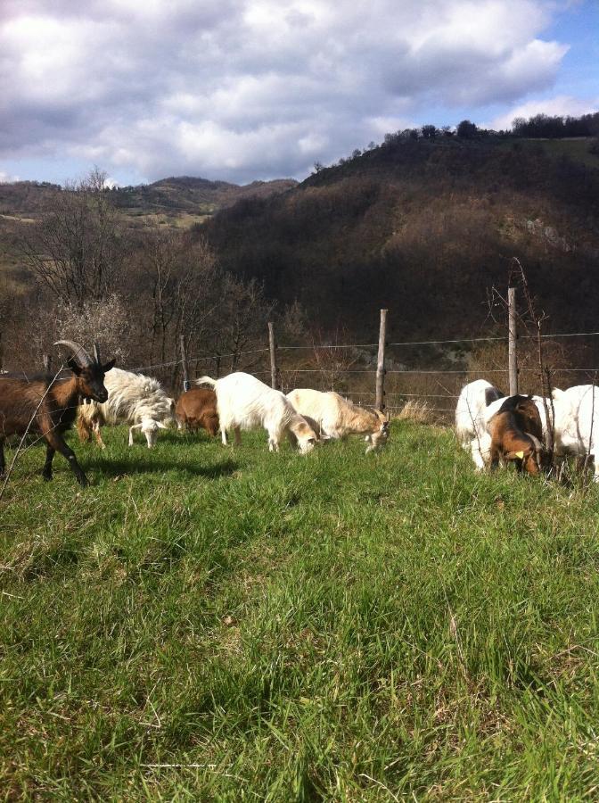 Agriturismo Il Covo Del Solengo Villa Valtopina Kültér fotó