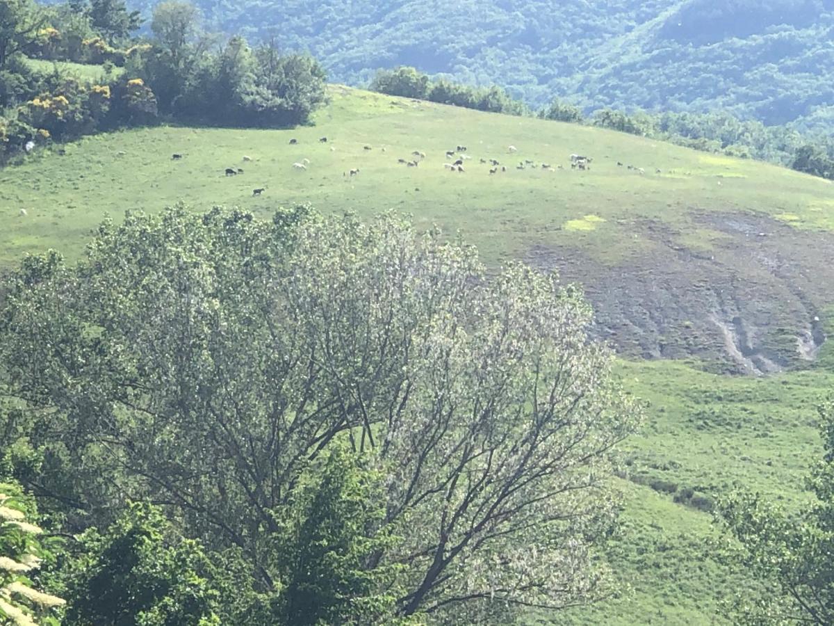 Agriturismo Il Covo Del Solengo Valtopina Kültér fotó