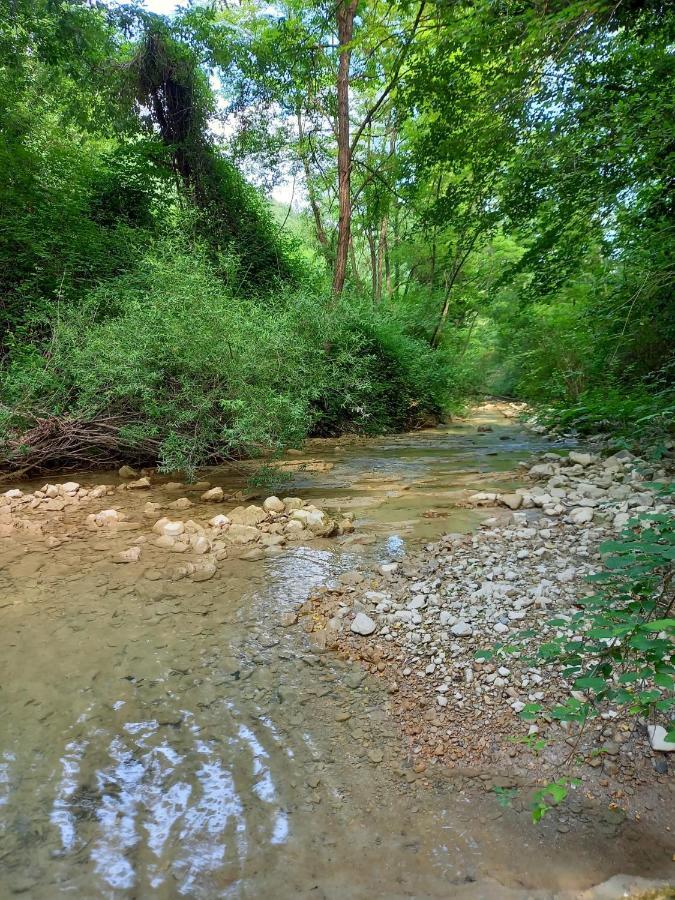 Agriturismo Il Covo Del Solengo Valtopina Kültér fotó