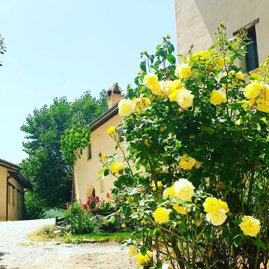 Agriturismo Il Covo Del Solengo Villa Valtopina Kültér fotó