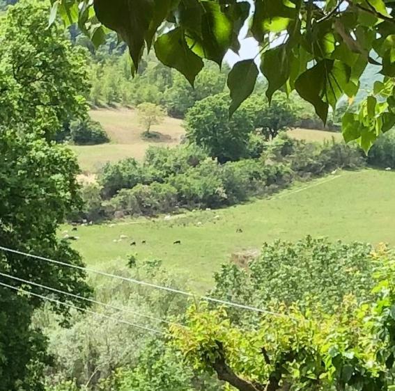 Agriturismo Il Covo Del Solengo Valtopina Kültér fotó