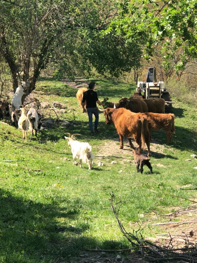 Agriturismo Il Covo Del Solengo Valtopina Kültér fotó