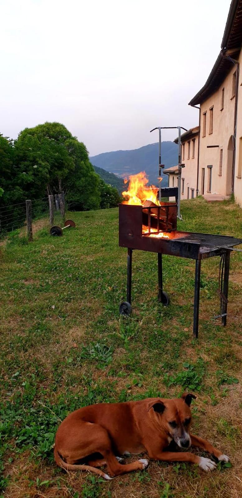 Agriturismo Il Covo Del Solengo Valtopina Kültér fotó