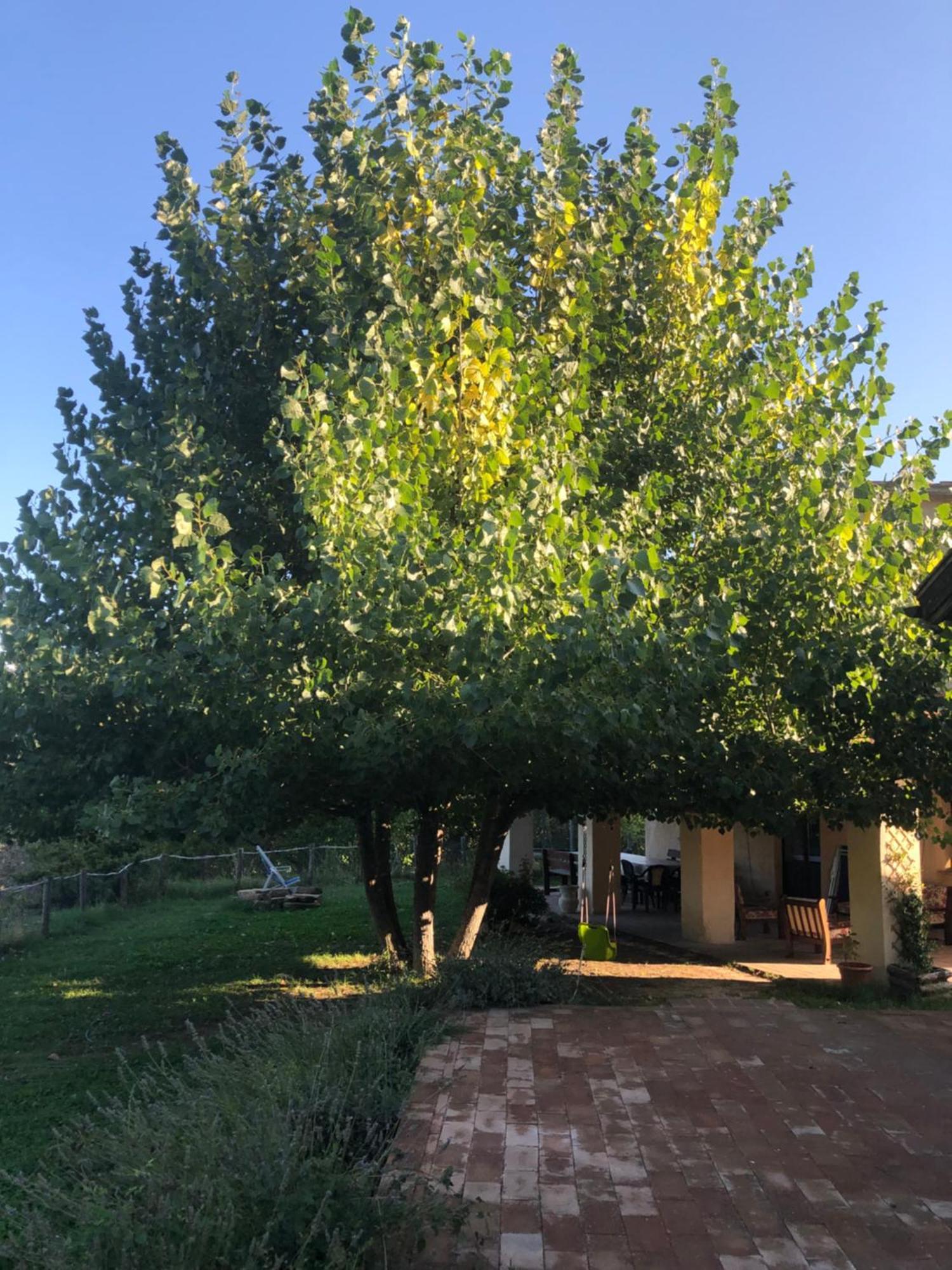 Agriturismo Il Covo Del Solengo Valtopina Kültér fotó